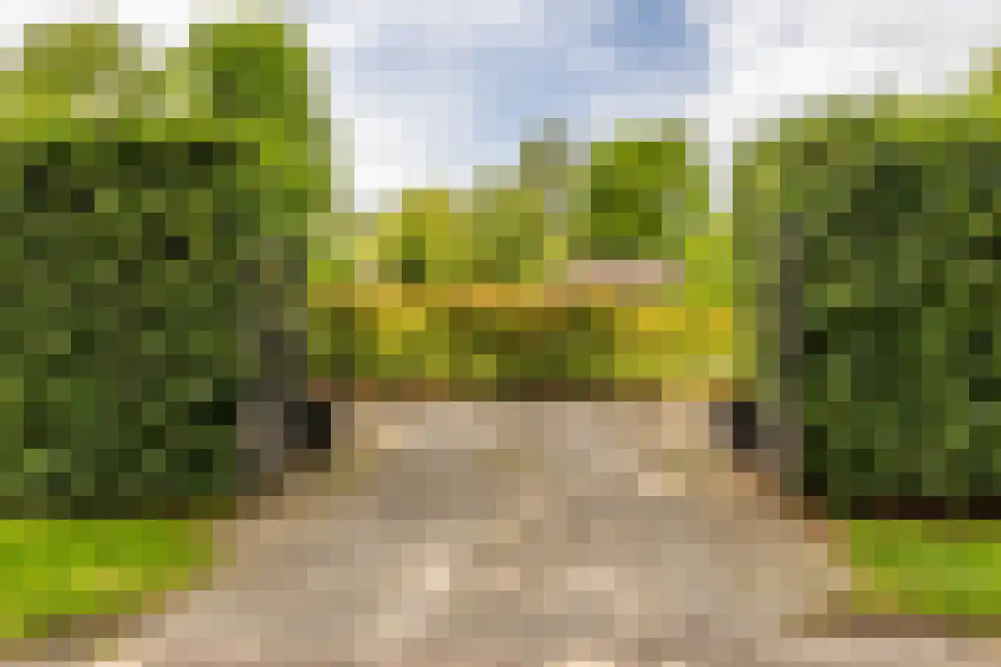 Dassemussestraat 3 a Chaam thumbnail 29