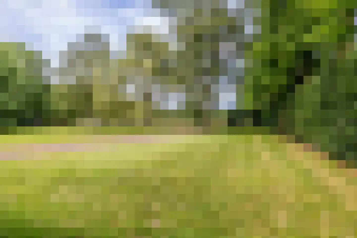 Dassemussestraat 3 a Chaam thumbnail 30