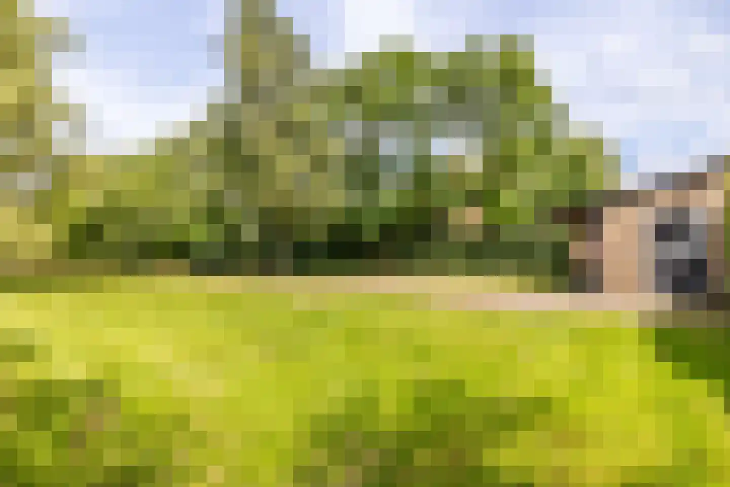 Dassemussestraat 3 a Chaam thumbnail 31