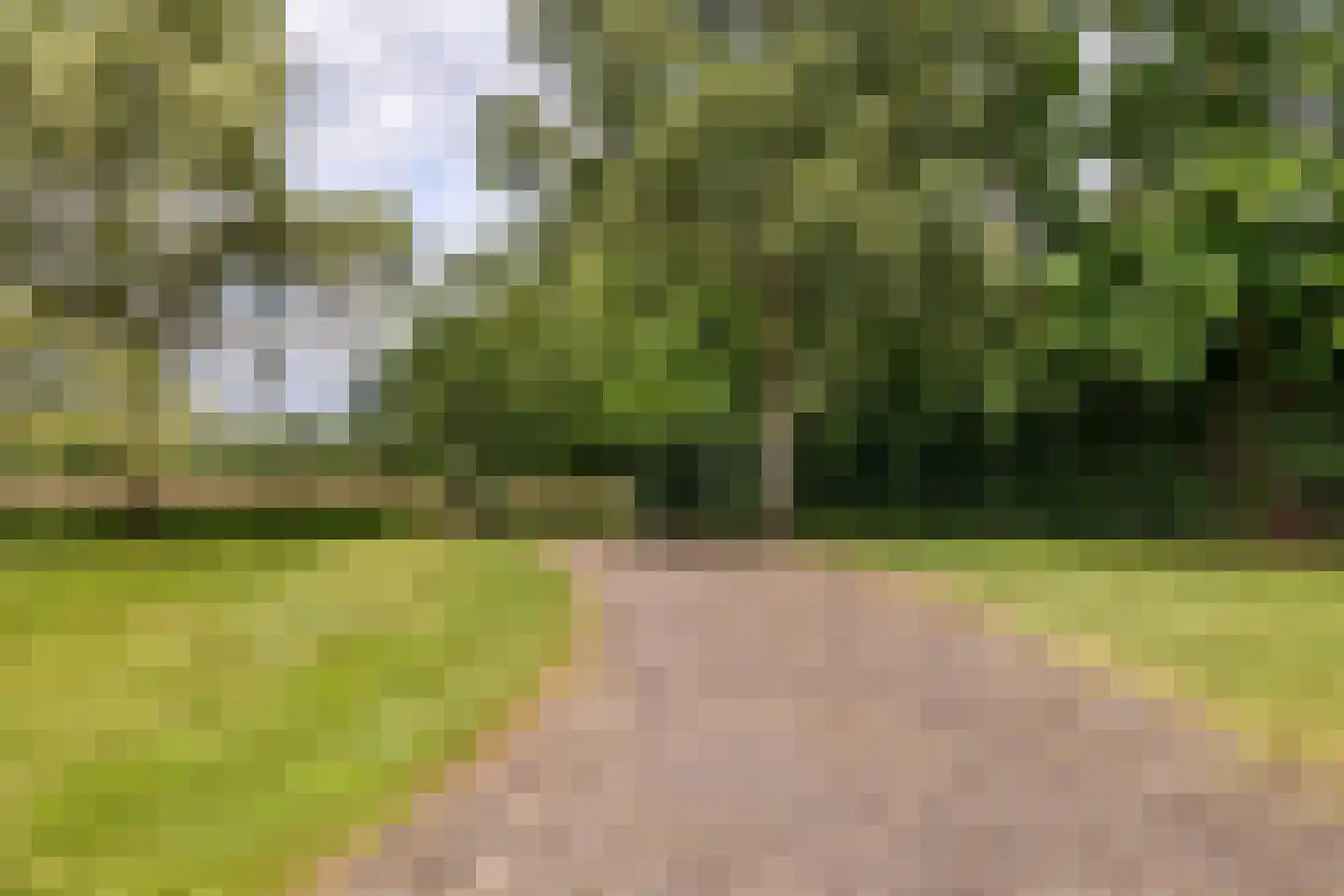Dassemussestraat 3 a Chaam thumbnail 32