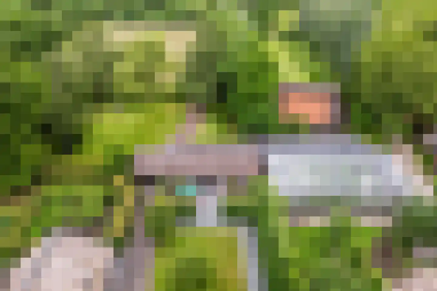 Dassemussestraat 3 a Chaam thumbnail 34