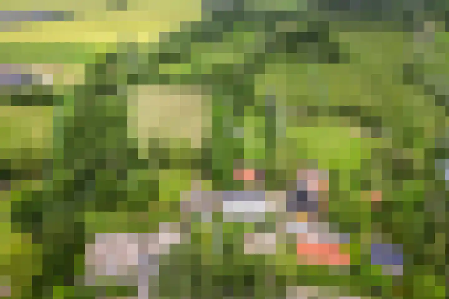 Dassemussestraat 3 a Chaam thumbnail 35