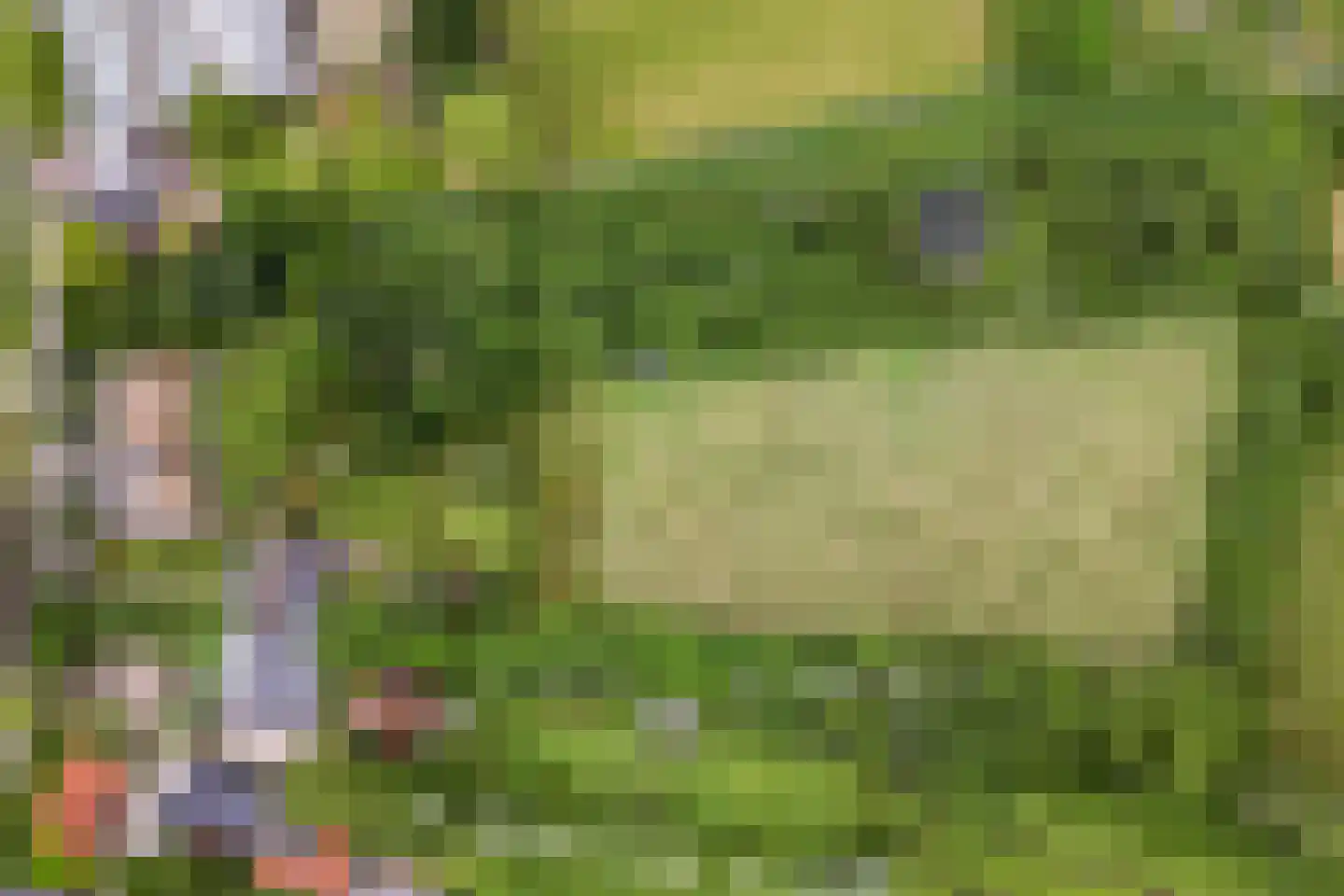 Dassemussestraat 3 a Chaam thumbnail 36