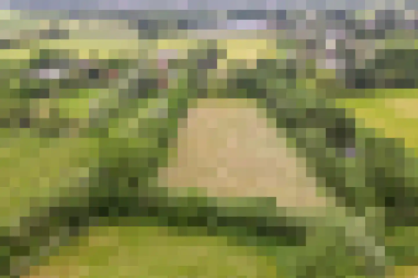 Dassemussestraat 3 a Chaam thumbnail 37