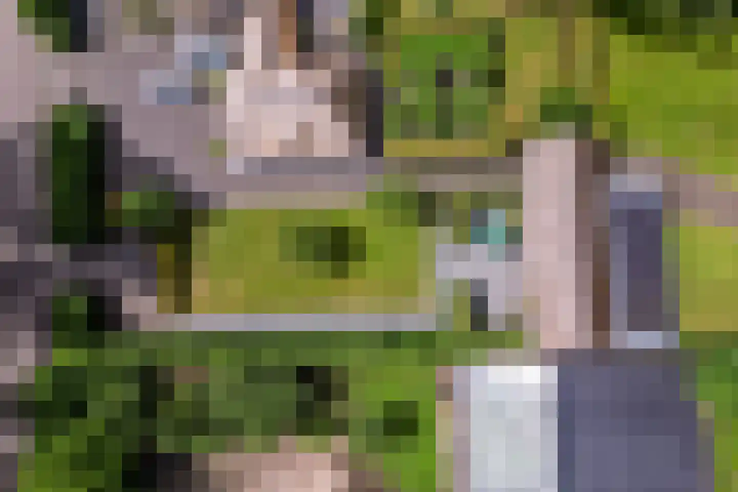 Dassemussestraat 3 a Chaam thumbnail 38