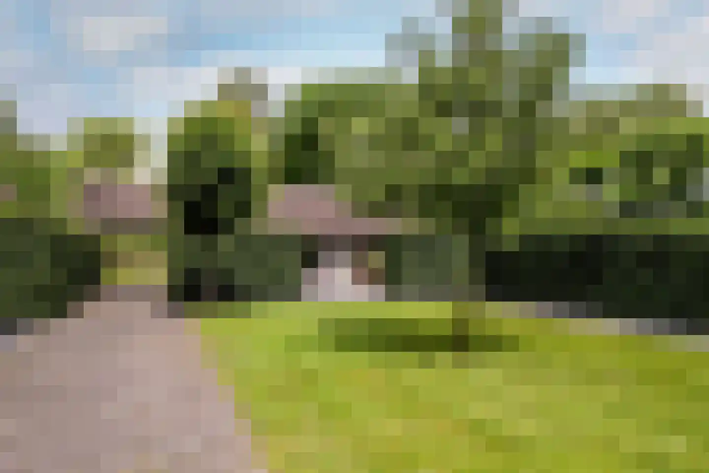 Dassemussestraat 3 a Chaam thumbnail 39