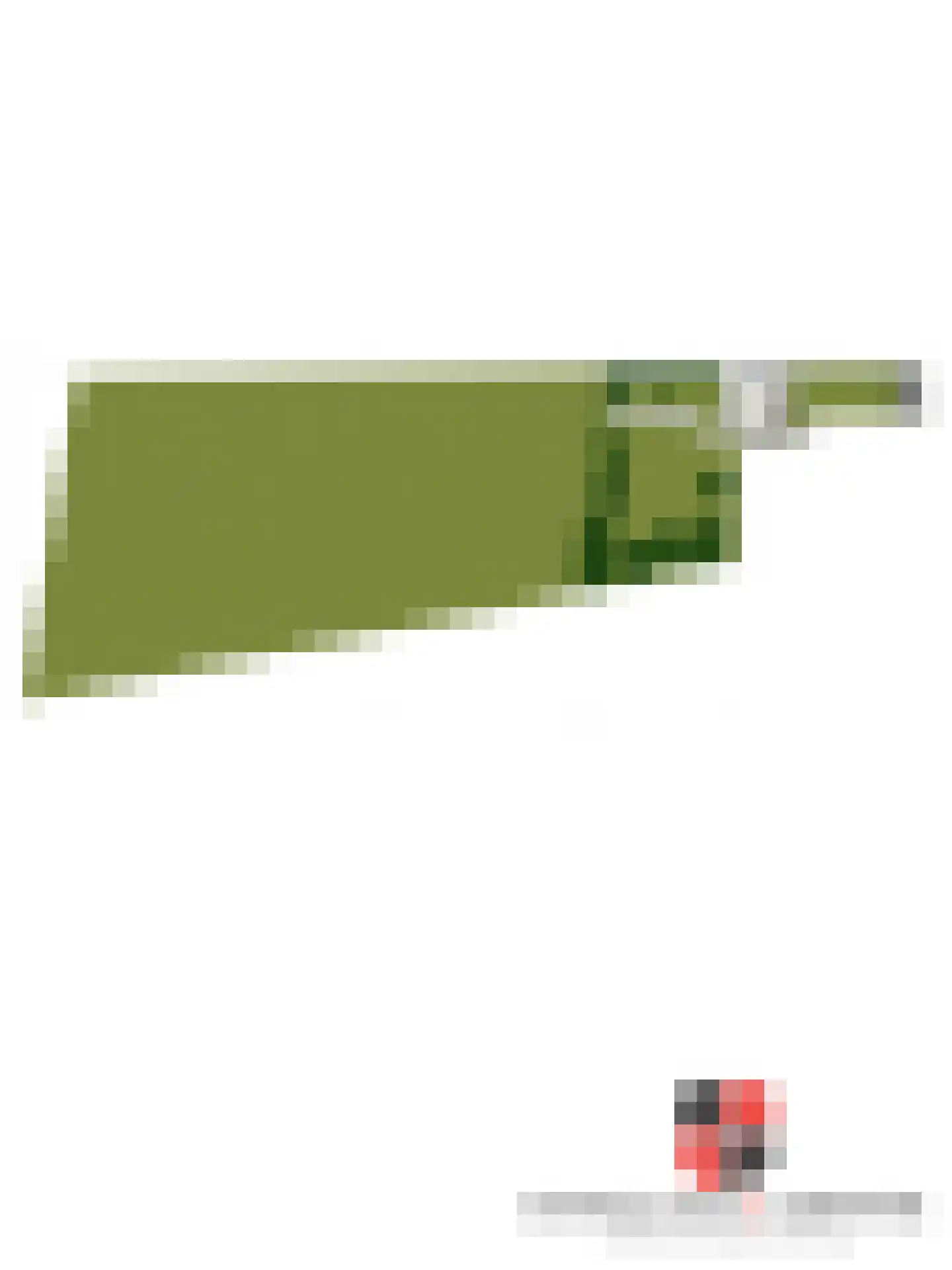 Dassemussestraat 3 a Chaam thumbnail 42