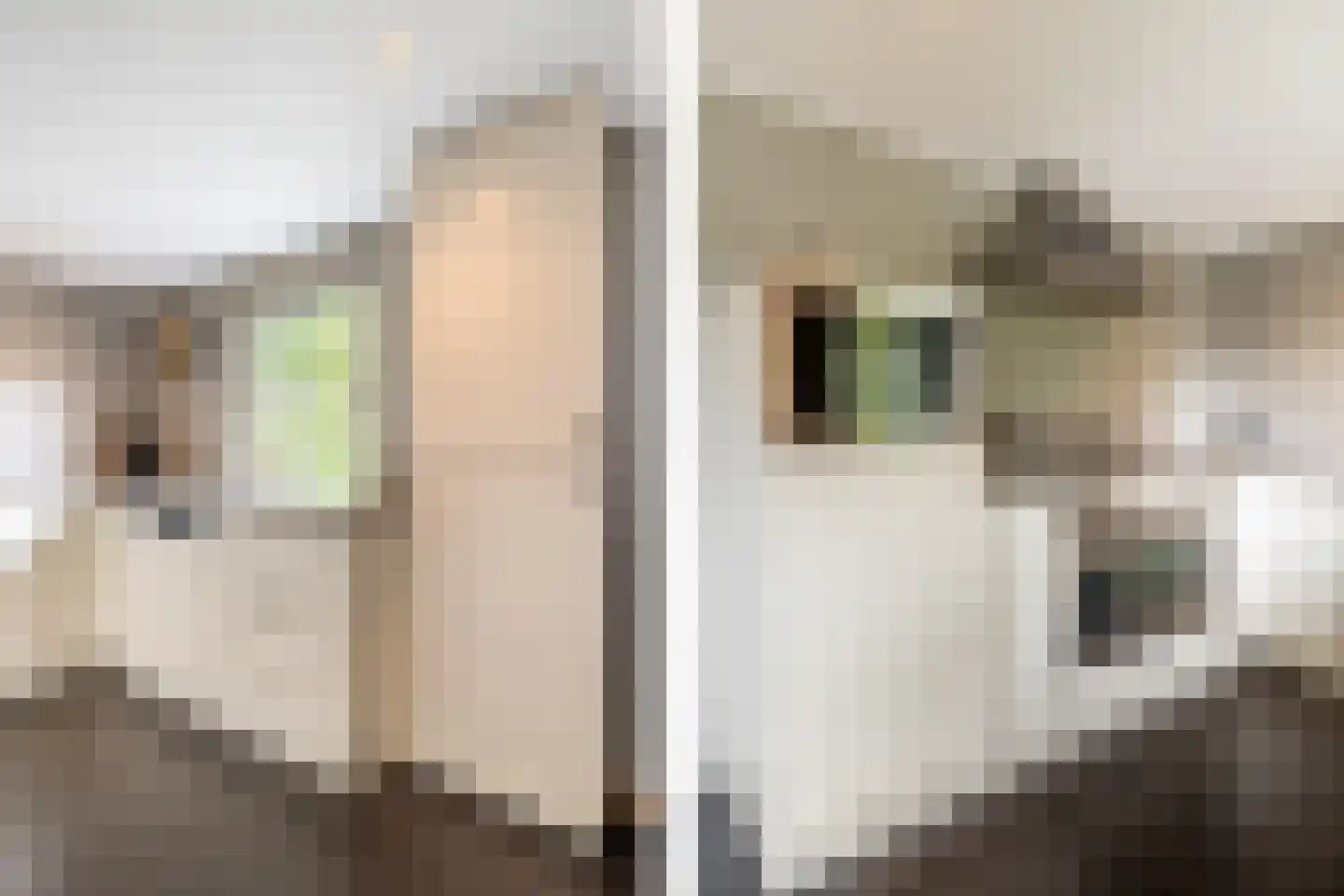 Dassemussestraat 3 a Chaam thumbnail 6