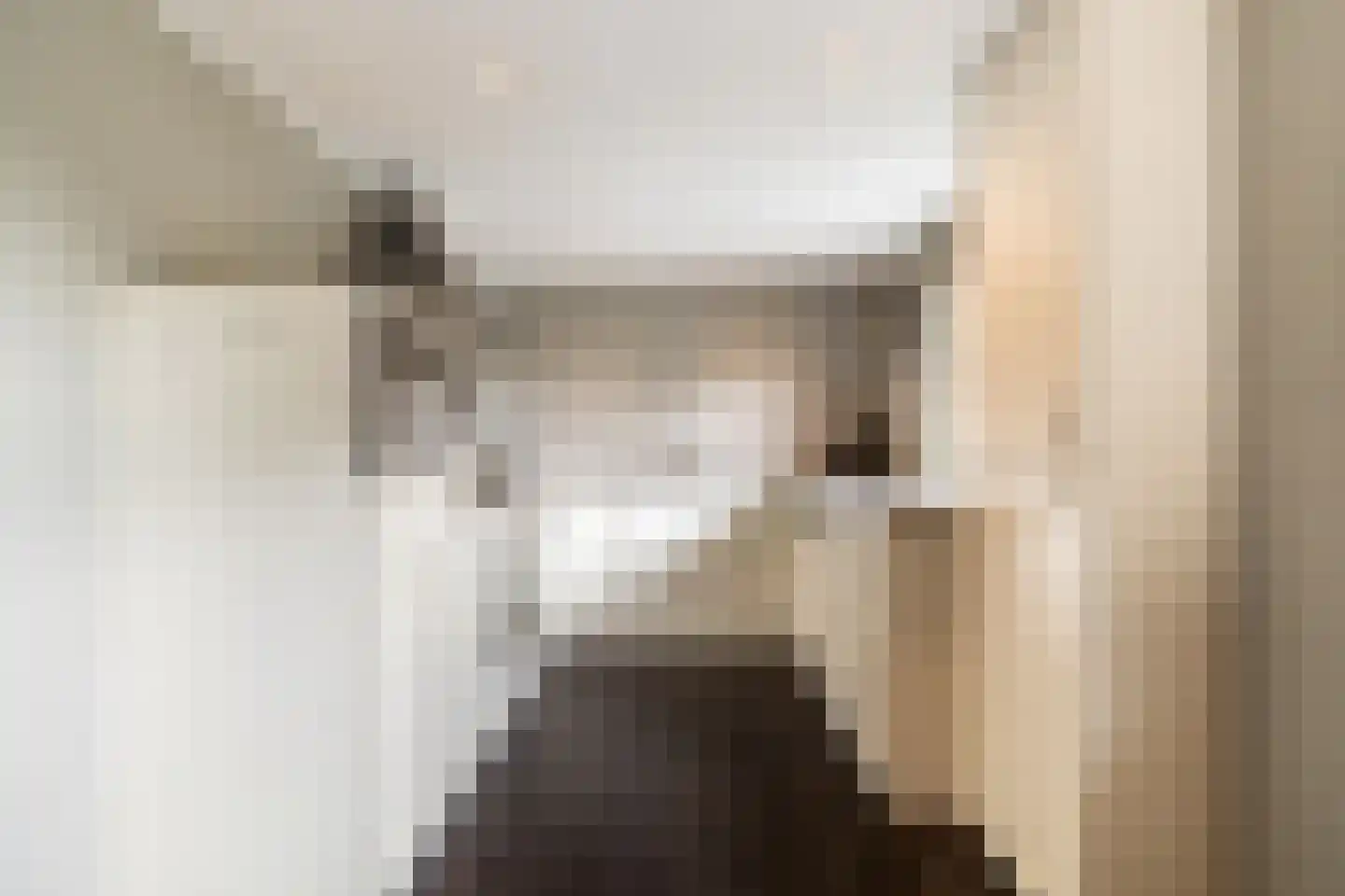 Dassemussestraat 3 a Chaam thumbnail 8
