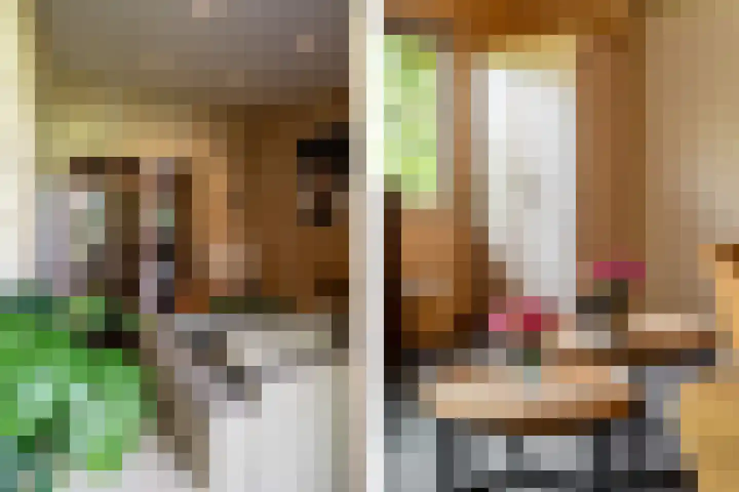 Dassemussestraat 3 a Chaam thumbnail 9
