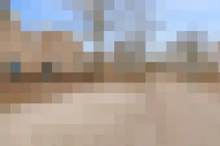 Dassenakker 33 Houten thumbnail 28