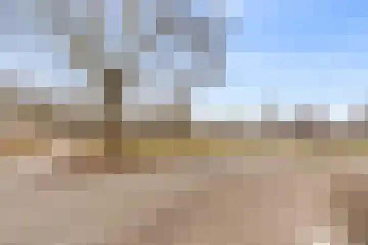 Dassenakker 33 Houten thumbnail 30