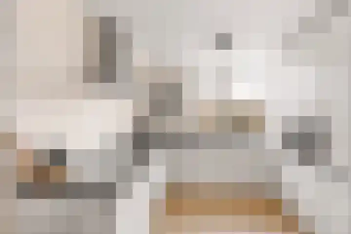 Dassenakker 33 Houten thumbnail 8