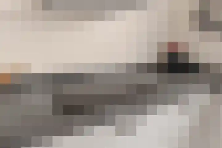 Dassenakker 33 Houten thumbnail 9