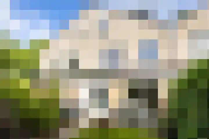 Dassenakker 45 Houten thumbnail 10