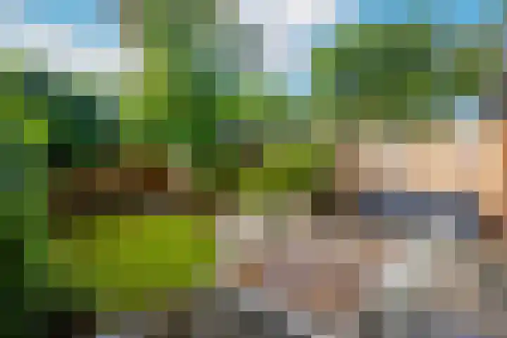 Dassenakker 45 Houten thumbnail 11