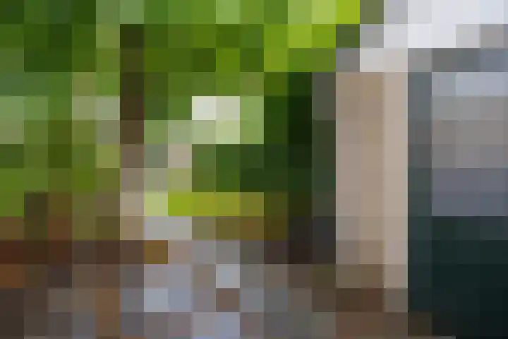 Dassenakker 45 Houten thumbnail 12