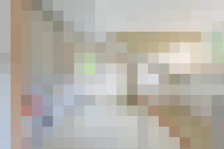 Dassenakker 45 Houten thumbnail 24