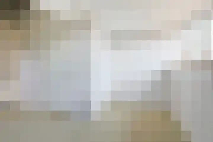 Dassenakker 45 Houten thumbnail 26