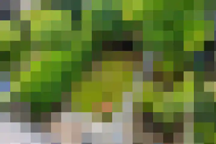 Dassenakker 45 Houten thumbnail 27