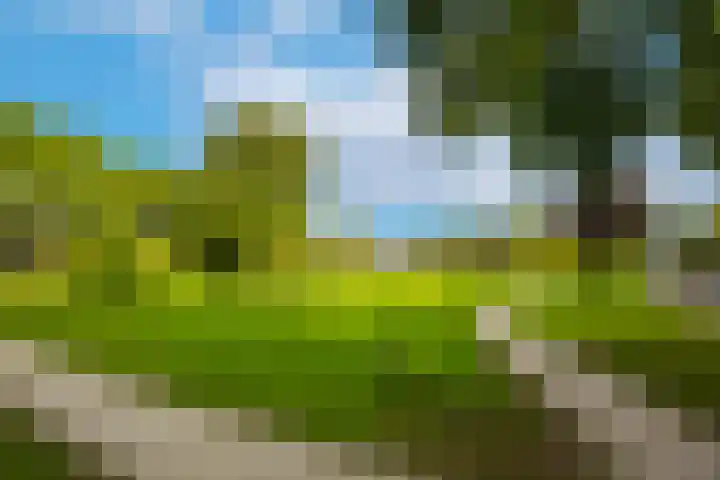 Dassenakker 45 Houten thumbnail 28