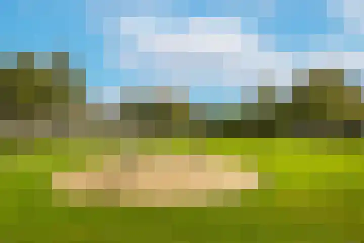 Dassenakker 45 Houten thumbnail 29