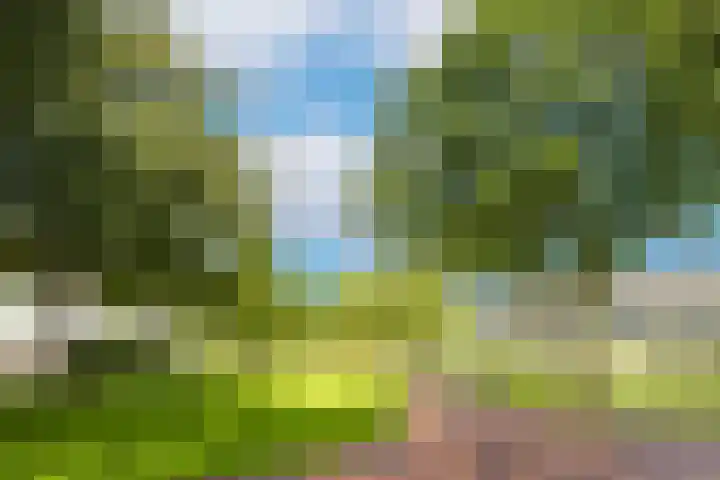 Dassenakker 45 Houten thumbnail 30