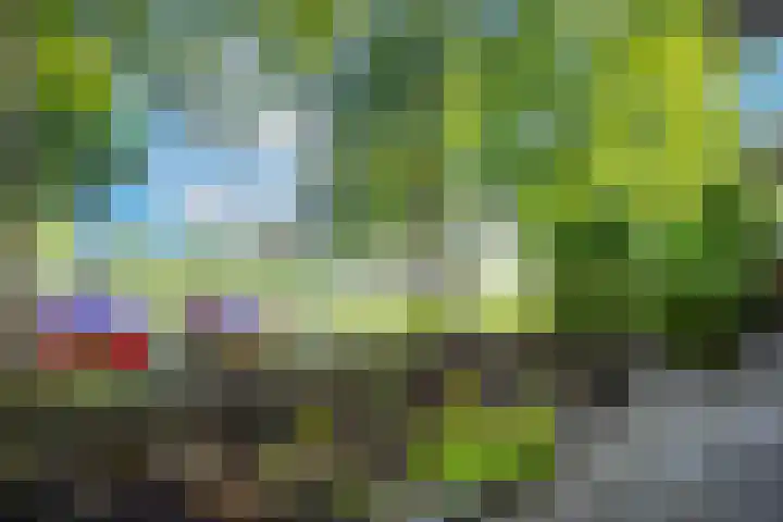 Dassenakker 45 Houten thumbnail 4