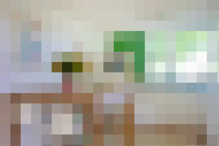 Dassenakker 45 Houten thumbnail 7