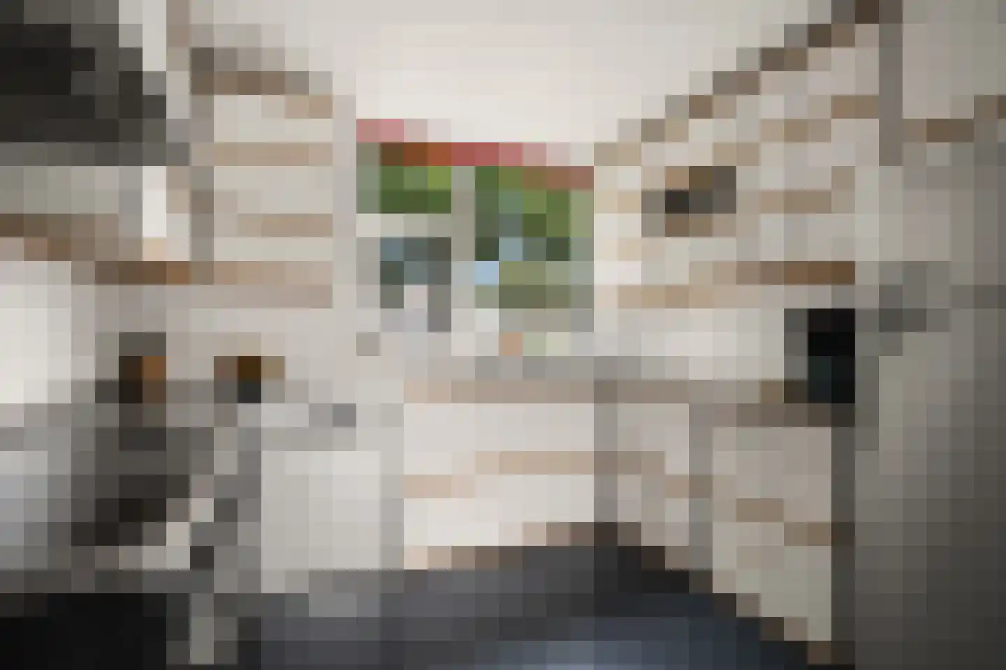 Dassenakker 69 Houten thumbnail 13