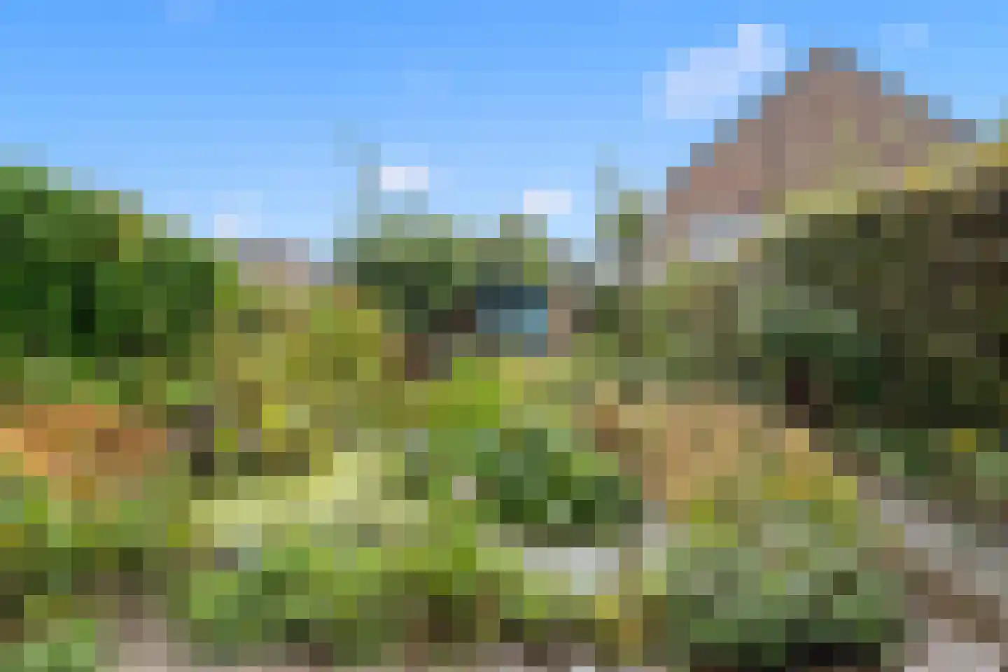 Dassenakker 69 Houten thumbnail 16