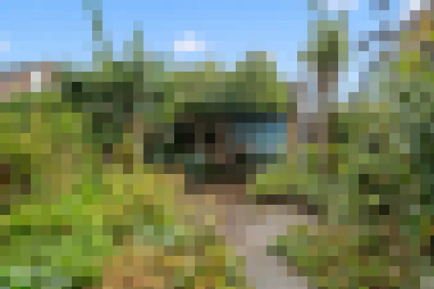 Dassenakker 69 Houten thumbnail 17