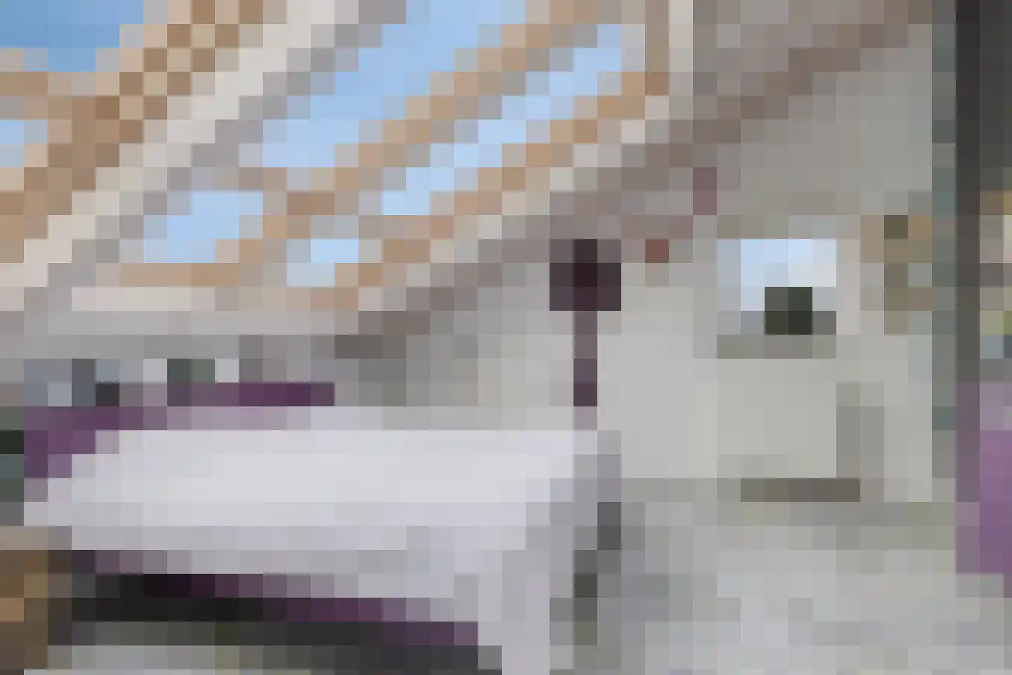 Dassenakker 69 Houten thumbnail 18