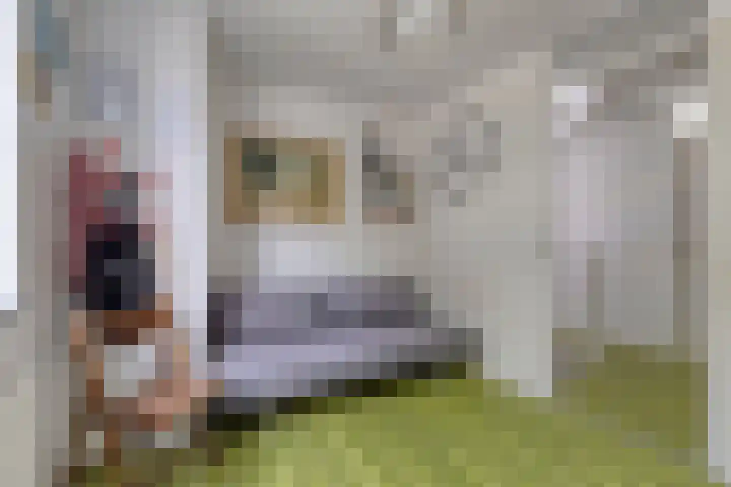 Dassenakker 69 Houten thumbnail 22