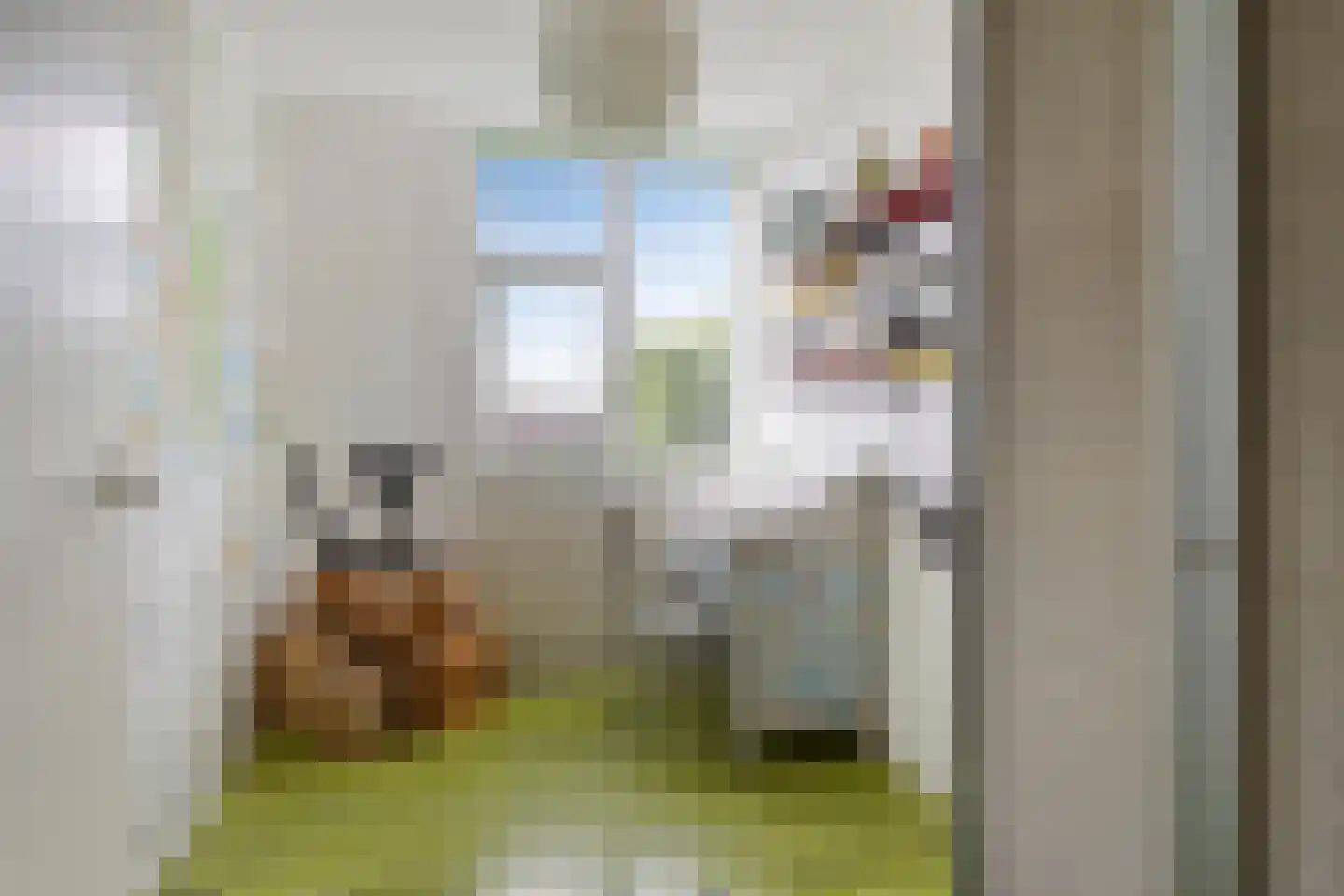 Dassenakker 69 Houten thumbnail 26