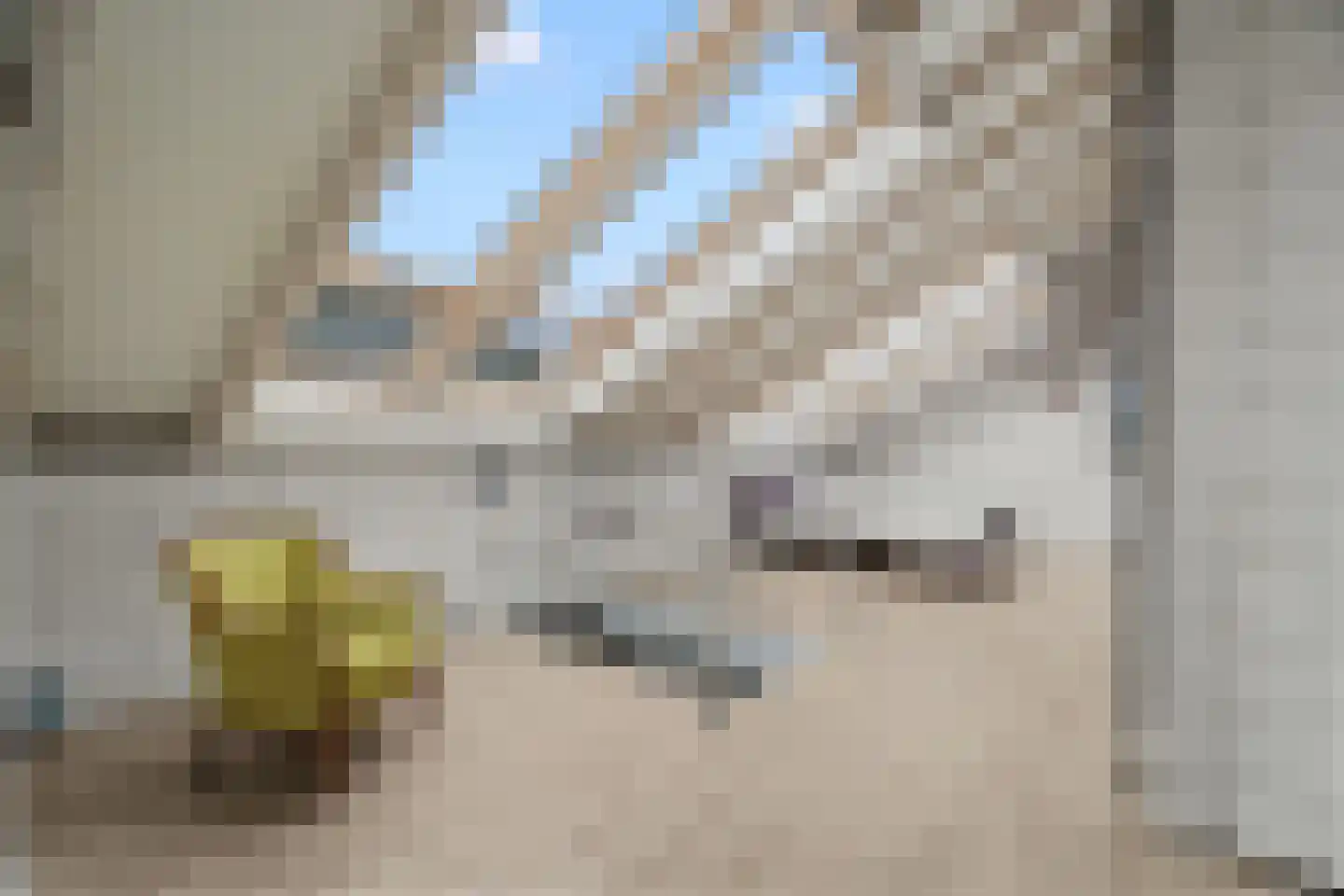 Dassenakker 69 Houten foto 3