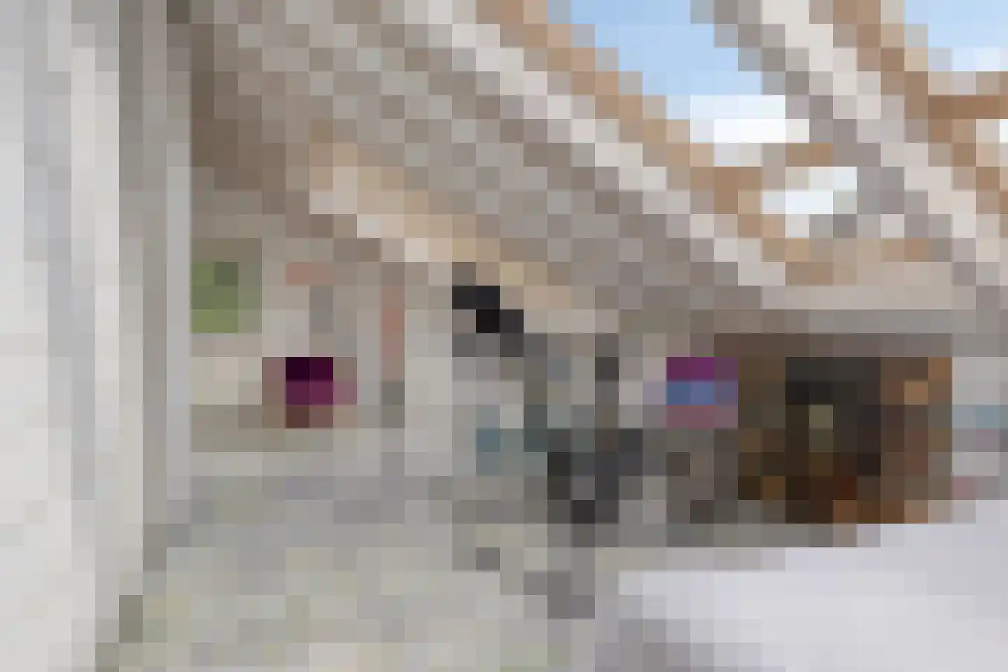 Dassenakker 69 Houten thumbnail 30