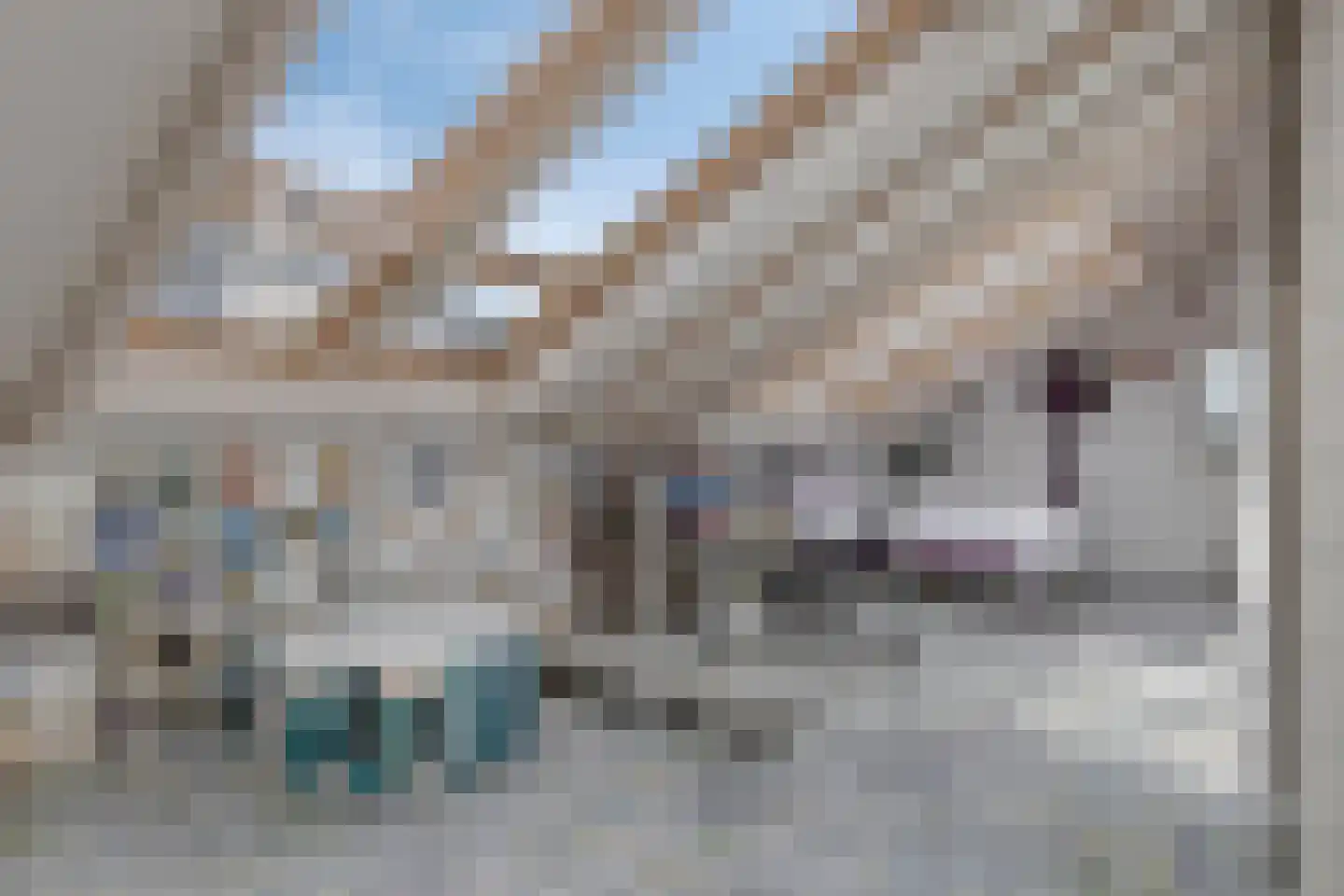 Dassenakker 69 Houten thumbnail 31