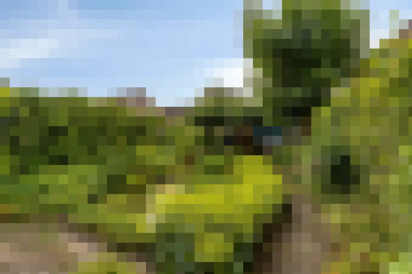 Dassenakker 69 Houten thumbnail 33