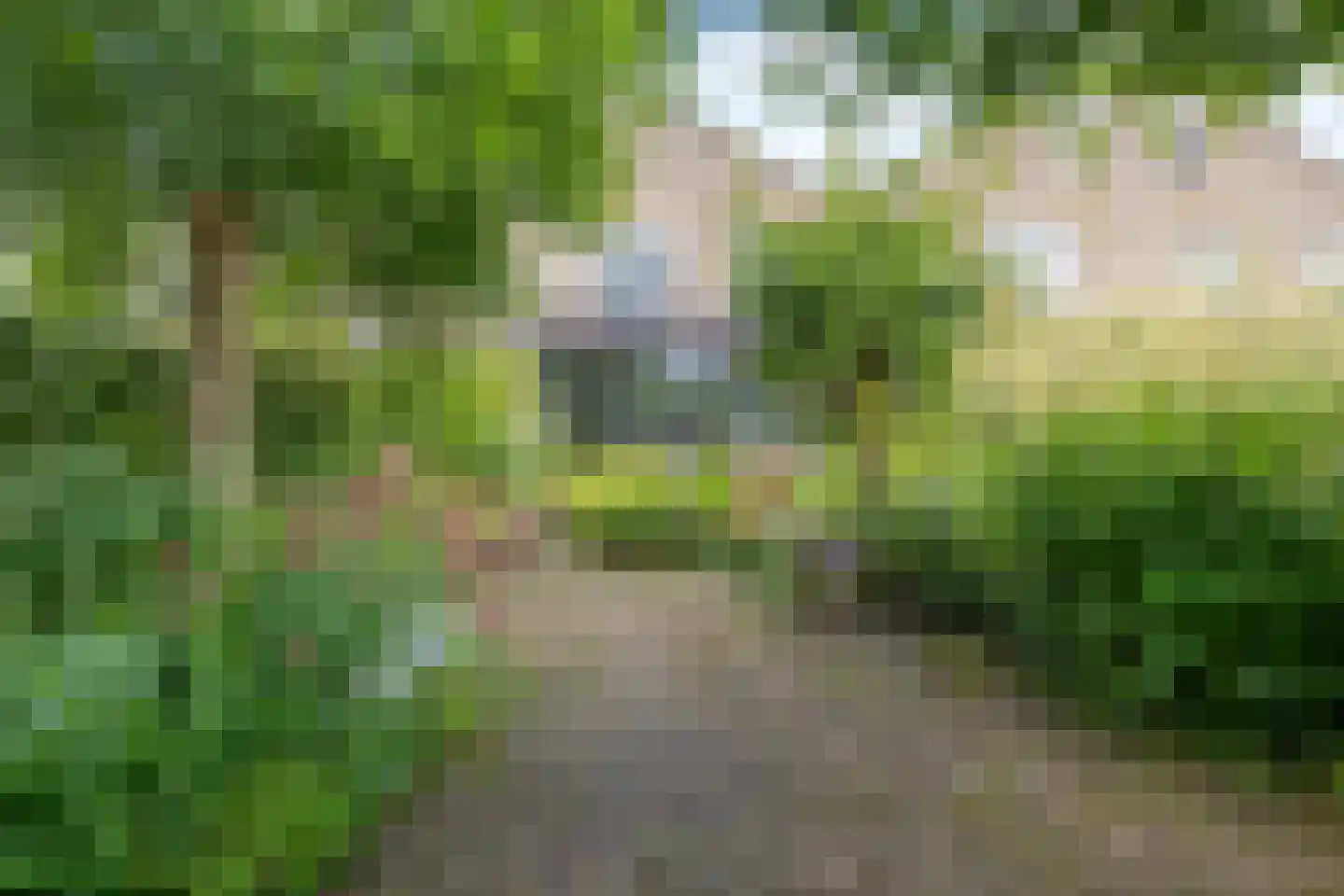 Dassenakker 69 Houten thumbnail 34