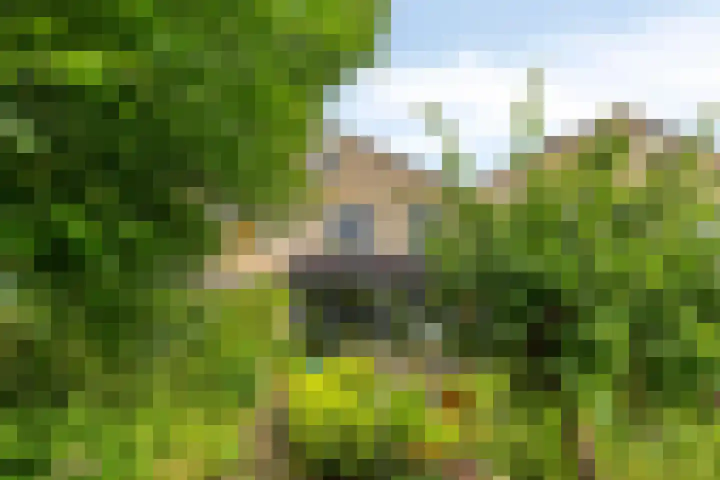 Dassenakker 69 Houten thumbnail 36