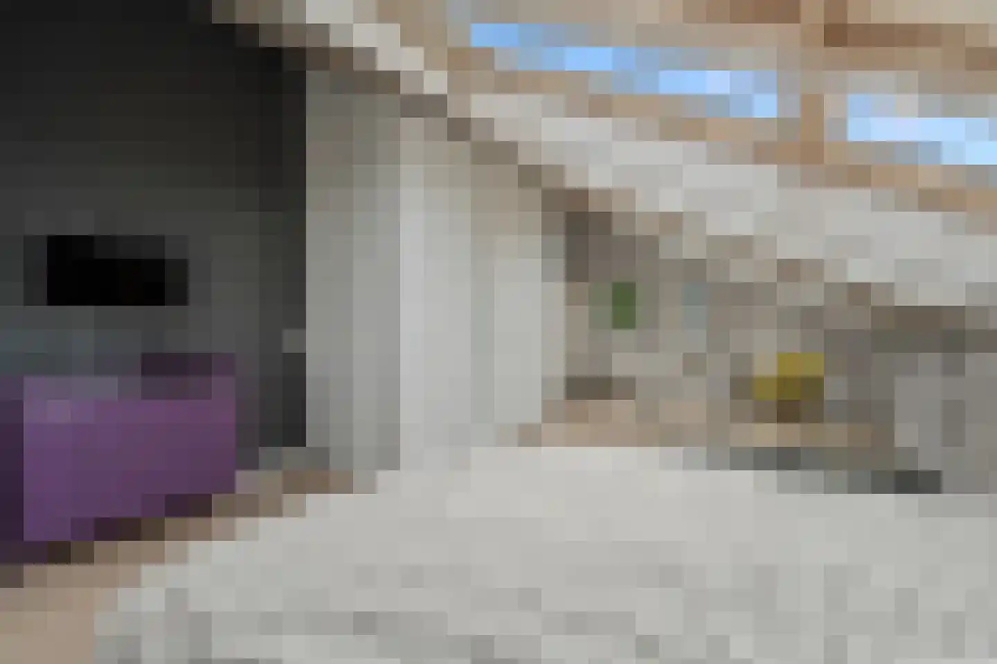 Dassenakker 69 Houten thumbnail 38