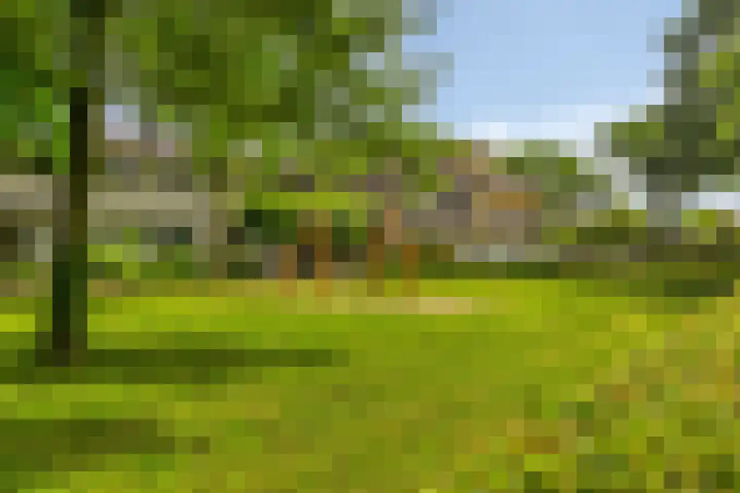 Dassenakker 69 Houten thumbnail 39