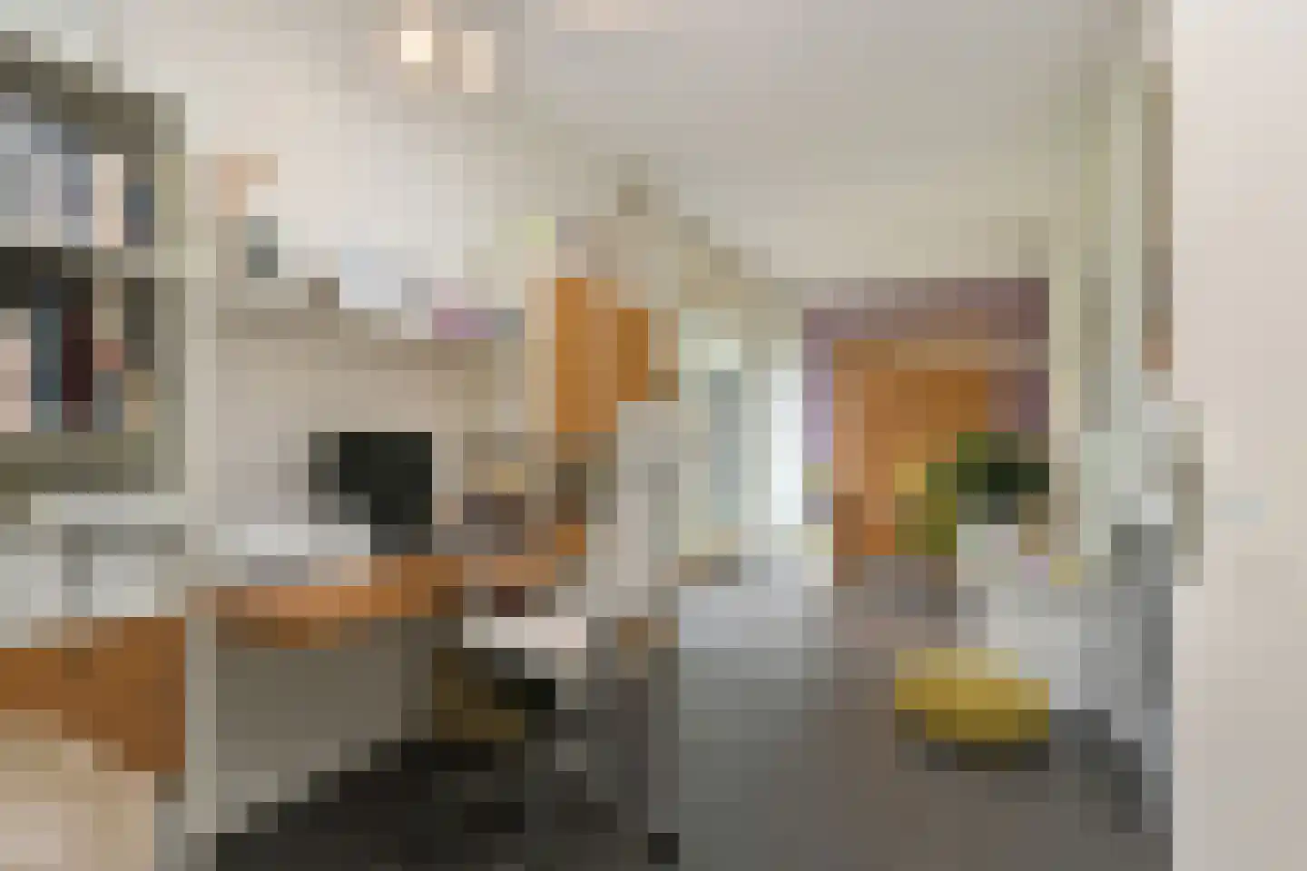 Dassenberg 1 Waalre thumbnail 16