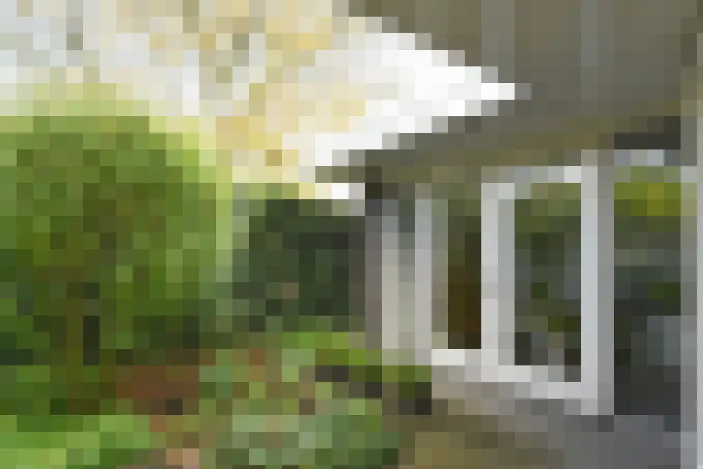 Dassenberg 1 Waalre thumbnail 26
