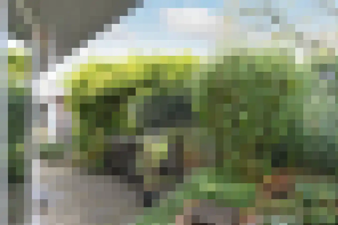 Dassenberg 1 Waalre thumbnail 27