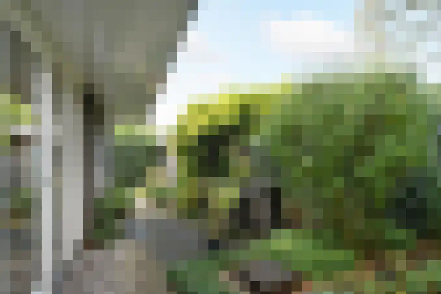 Dassenberg 1 Waalre thumbnail 28