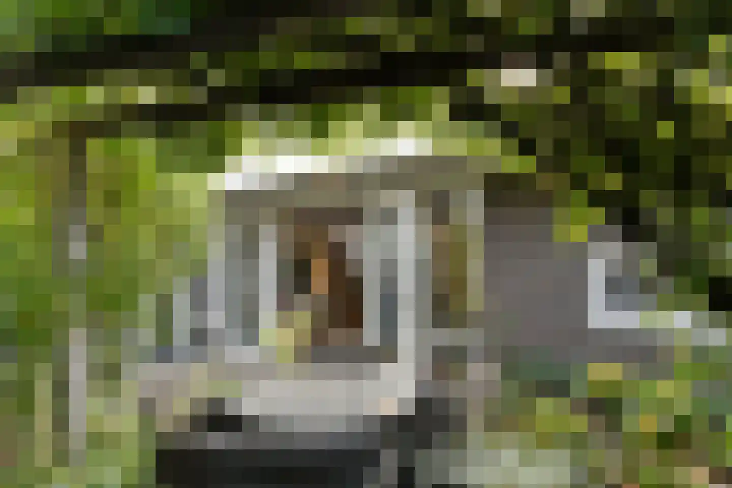 Dassenberg 1 Waalre thumbnail 30