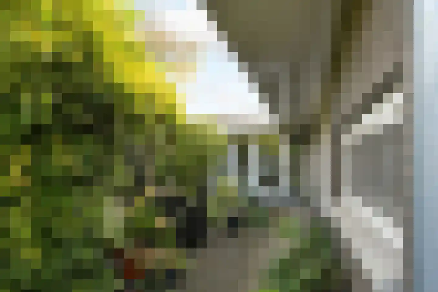 Dassenberg 1 Waalre thumbnail 34