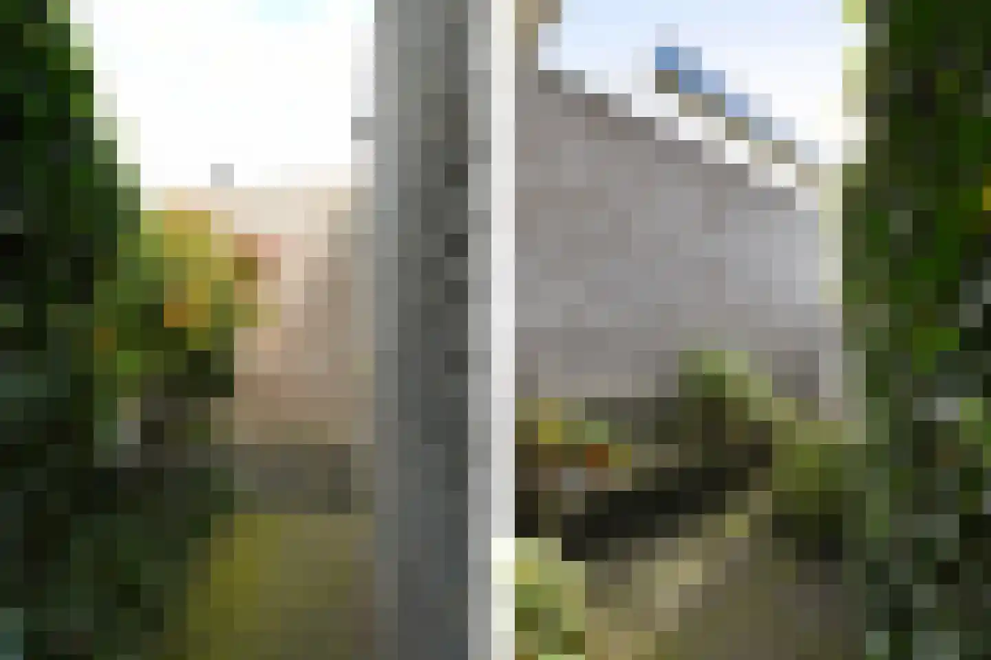 Dassenberg 1 Waalre thumbnail 35